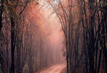 刷视频赚钱能提现吗到微信？支付通道实测，2026年十大可微信提现平台