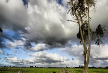 赚钱小游戏微信提现，赚钱游戏无广告无门槛全部提现