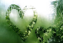 怎么用京东慧采进行获客？开京东慧采还能赚钱？怎么开京东慧采？